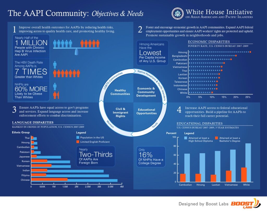 Data visualization showing different data analytics for the aapi community